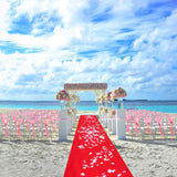 Bath Mats & Rugs: 10M Red Carpet Aisle Runner Awards Night Casino Wedding Party Event Mats Decor