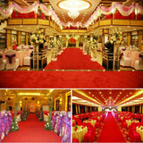 Bath Mats & Rugs: 10M Red Carpet Aisle Runner Awards Night Casino Wedding Party Event Mats Decor