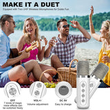 Sliver Karaoke Machine with 2 Wireless Microphones Bluetooth-Compatible 5.0 for Parties