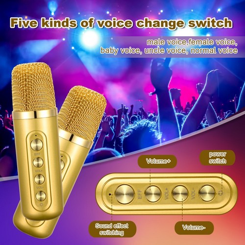 Gold Karaoke Machine with 2 Wireless Microphones Bluetooth-Compatible 5.0 for Parties