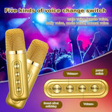 Gold Karaoke Machine with 2 Wireless Microphones Bluetooth-Compatible 5.0 for Parties