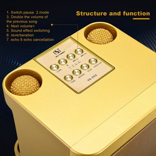 Gold Karaoke Machine with 2 Wireless Microphones Bluetooth-Compatible 5.0 for Parties