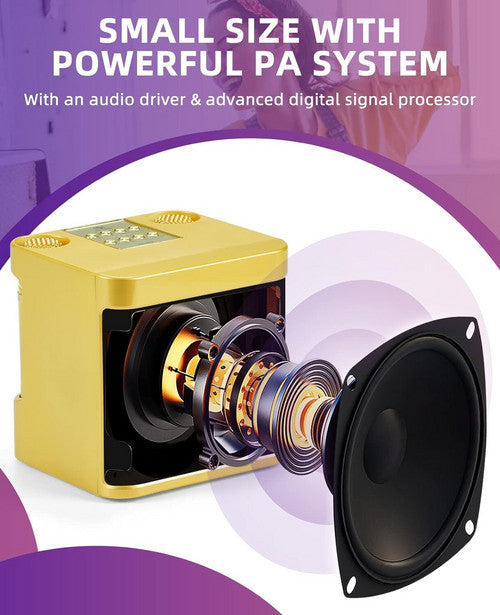 Gold Karaoke Machine with 2 Wireless Microphones Bluetooth-Compatible 5.0 for Parties
