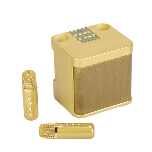 Gold Karaoke Machine with 2 Wireless Microphones Bluetooth-Compatible 5.0 for Parties