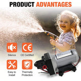 12v Replace SHURflo 4009 Water Pump & Twist on Filter for Caravan Boat Marine AU