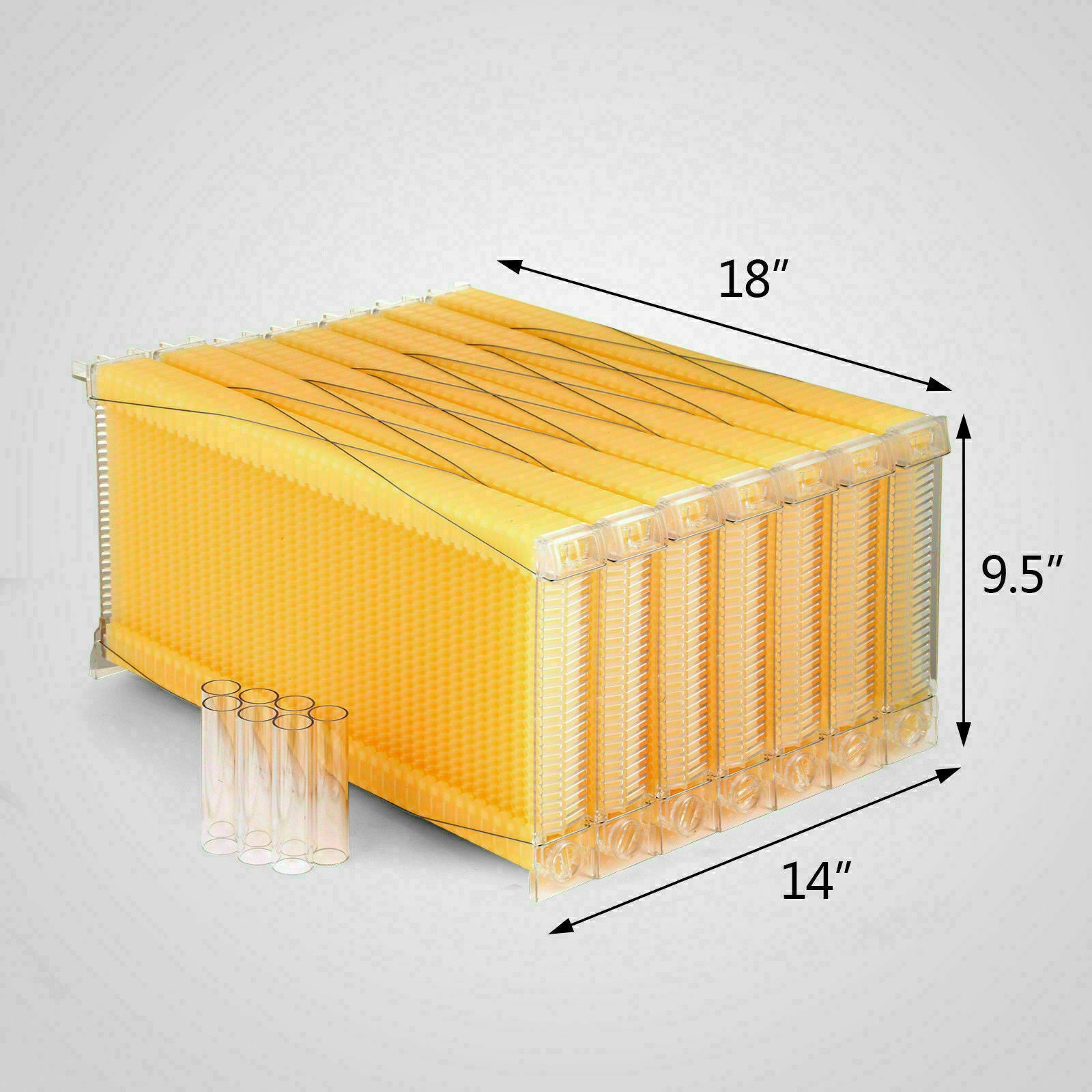 Beekeeping: Neweast 7Pcs Flow Bee Comb Hive Frames For Wooden Beekeeping Beehive House