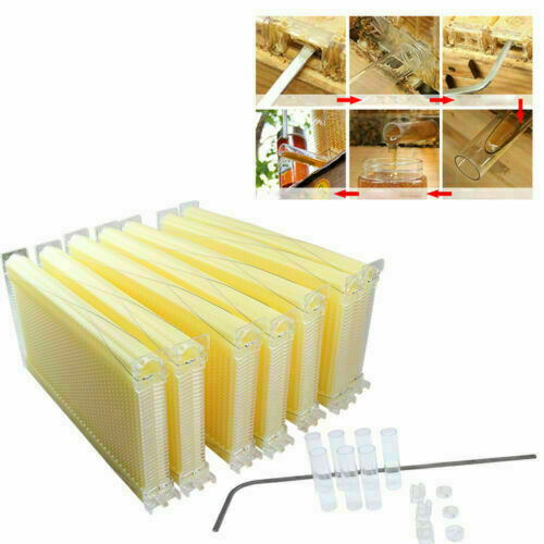 Beekeeping: Neweast 7Pcs Flow Bee Comb Hive Frames For Wooden Beekeeping Beehive House