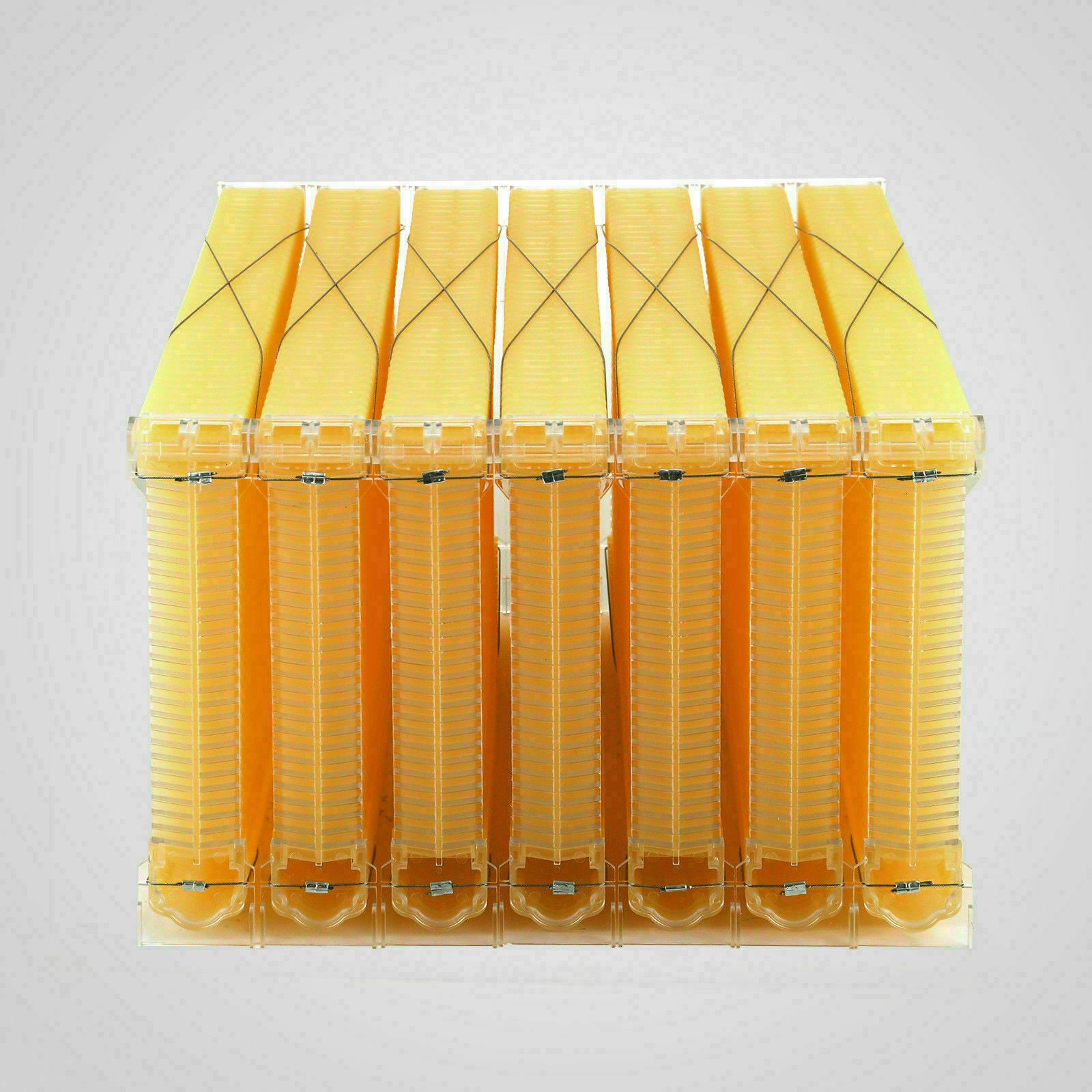 Beekeeping: Neweast 7Pcs Flow Bee Comb Hive Frames For Wooden Beekeeping Beehive House