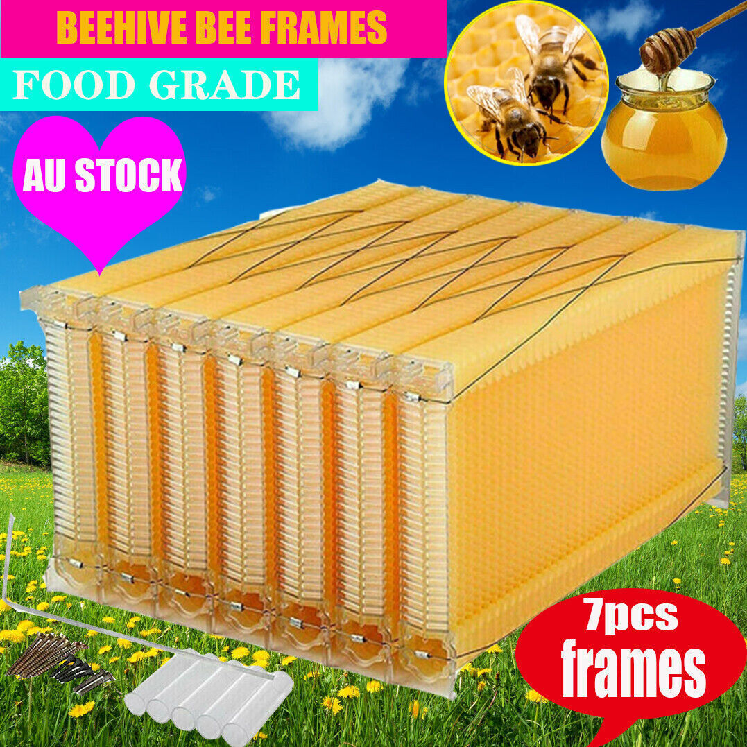Beekeeping: Neweast 7Pcs Flow Bee Comb Hive Frames For Wooden Beekeeping Beehive House
