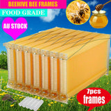 Beekeeping: Neweast 7Pcs Flow Bee Comb Hive Frames For Wooden Beekeeping Beehive House