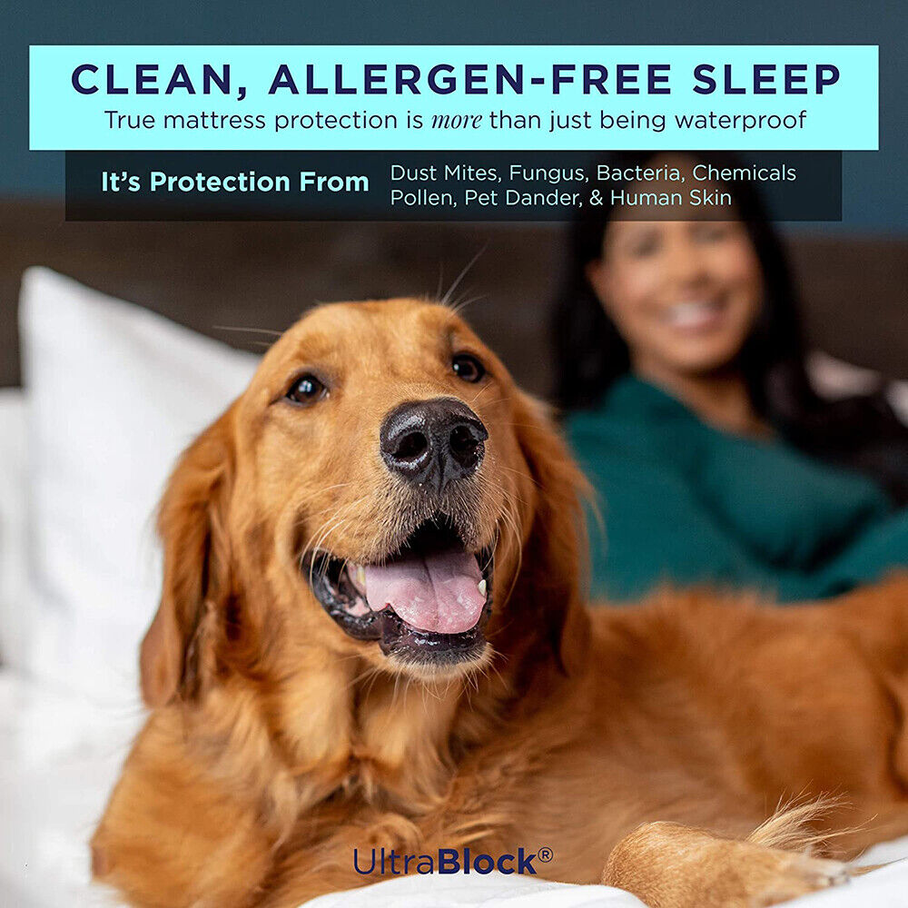 Mattress Toppers: Fully Fitted Waterproof Cotton / Non Woven Mattress Protector Cover Double