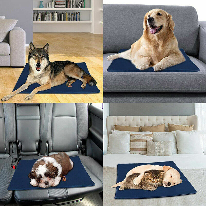 Dog Kennels: Electric Pet Heat Pad: Waterproof Heating Mat for Cat Dog Bed | Chew Resistant XL