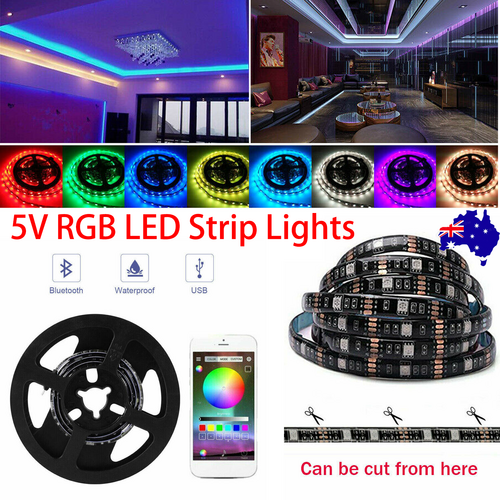 Outdoor Decorations & Lights: 5V RGB LED Strip Lights IP65 Waterproof 5050 5M 10M 20M 300 LEDs USB Bluetooth