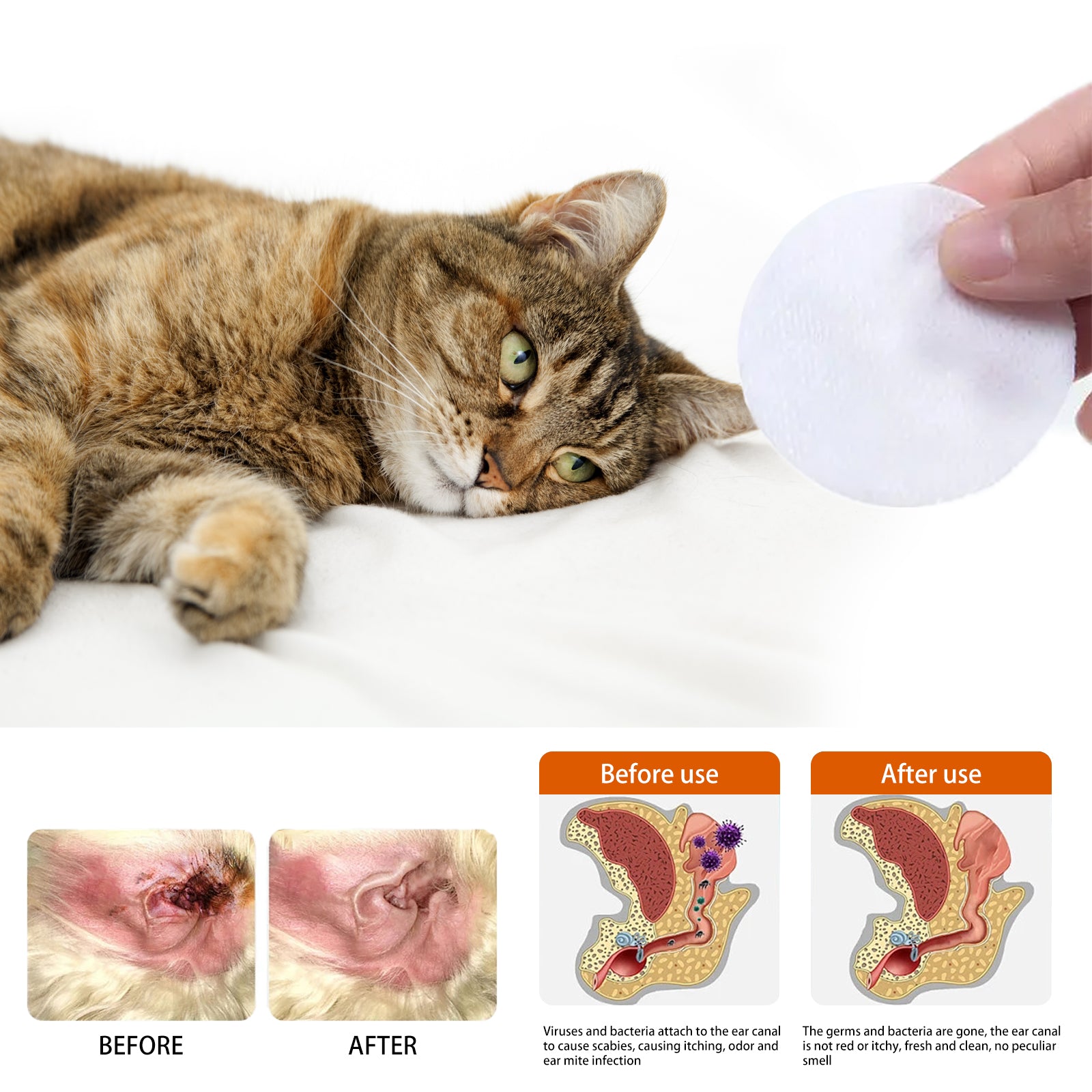 Pet Cleaning Supplies: Yegbong Pet Ear Wipes, Pet Ear Cleaning Deodorizing Removing Mite And Earwax Cleaning Wipes