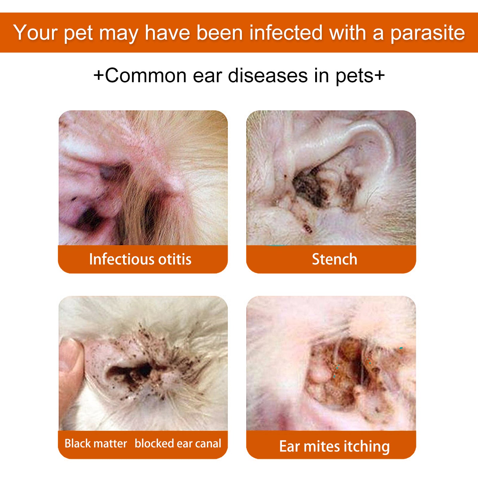 Pet Cleaning Supplies: Yegbong Pet Ear Wipes, Pet Ear Cleaning Deodorizing Removing Mite And Earwax Cleaning Wipes