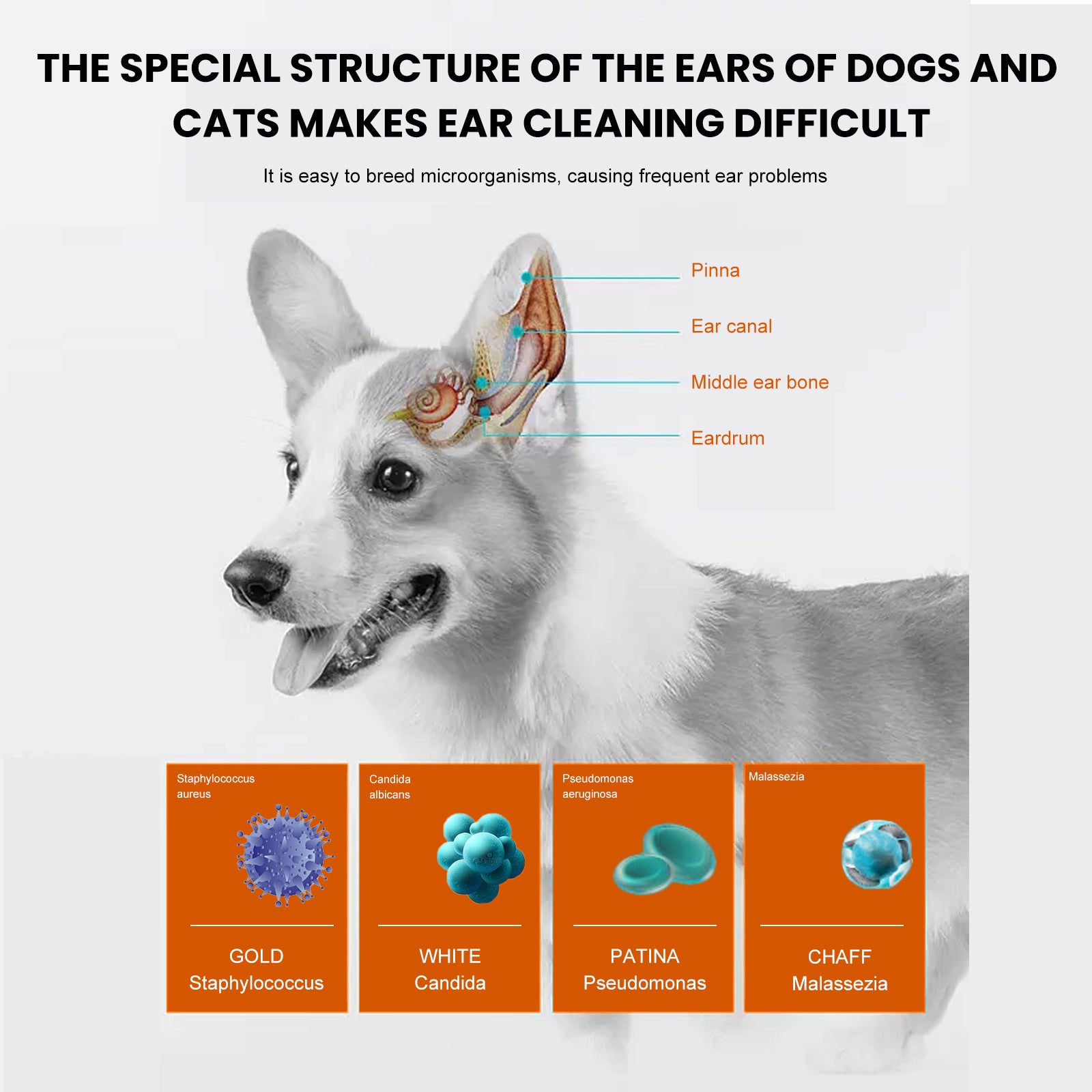 Pet Cleaning Supplies: Yegbong Pet Ear Wipes, Pet Ear Cleaning Deodorizing Removing Mite And Earwax Cleaning Wipes