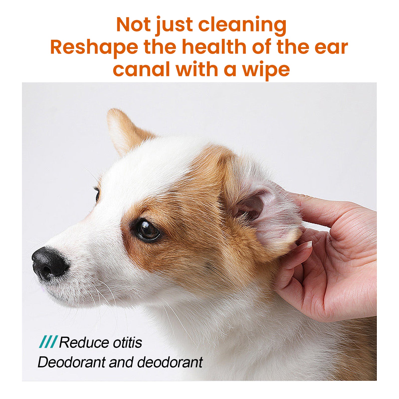 Pet Cleaning Supplies: Yegbong Pet Ear Wipes, Pet Ear Cleaning Deodorizing Removing Mite And Earwax Cleaning Wipes