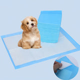 Pet Training Pads Puppy Dog Toilet Thickened Pee Mat Indoor Super Absorbent Pad