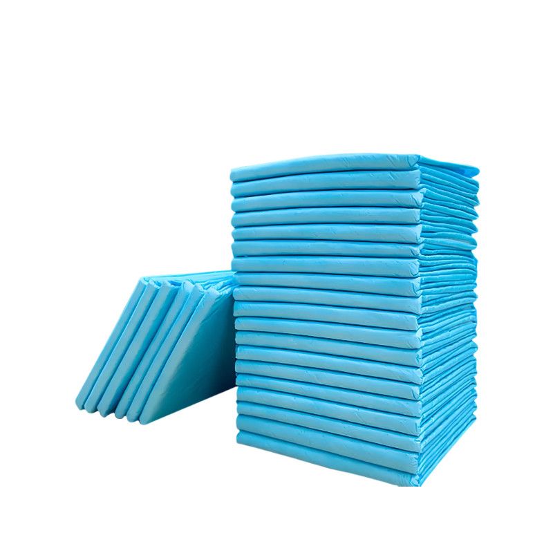 Pet Training Pads Puppy Dog Toilet Thickened Pee Mat Indoor Super Absorbent Pad