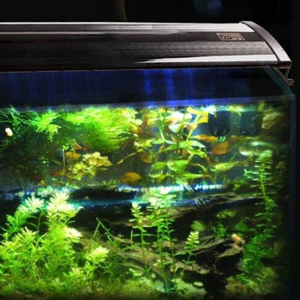Aquarium Lighting: 120cm Aquarium Light Lighting Full Spectrum Aqua Plant Fish Tank Bar LED Lamp