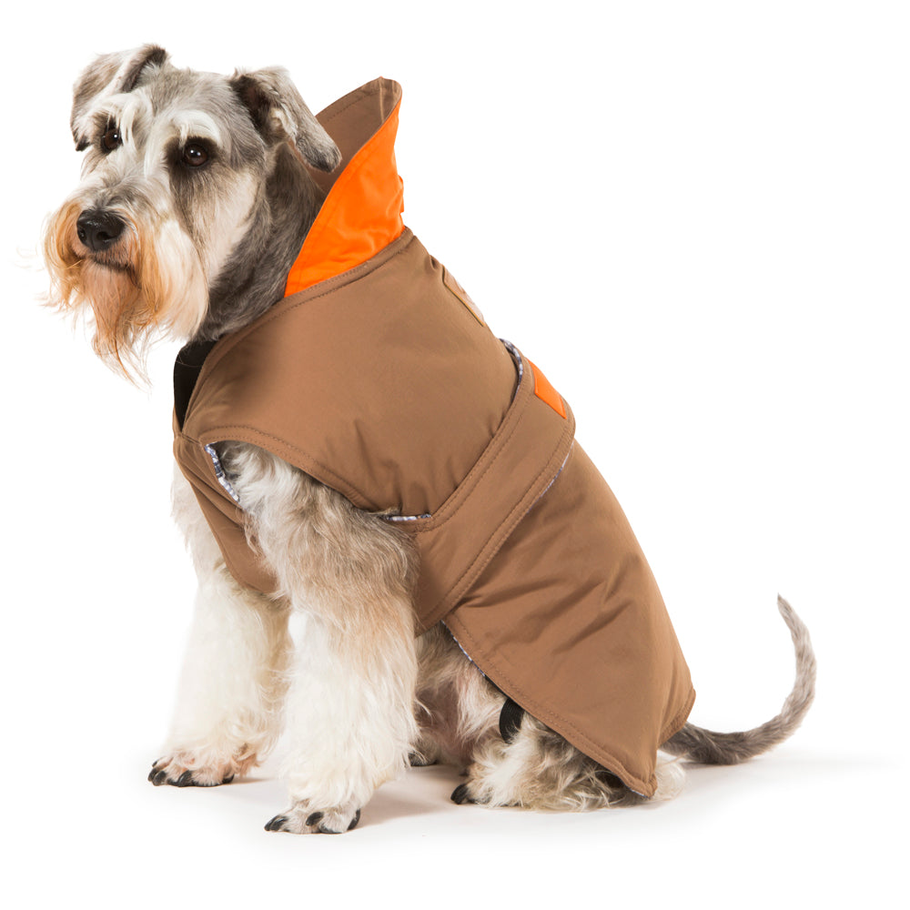 Dog Apparel: Brown Dog Coat 35cm