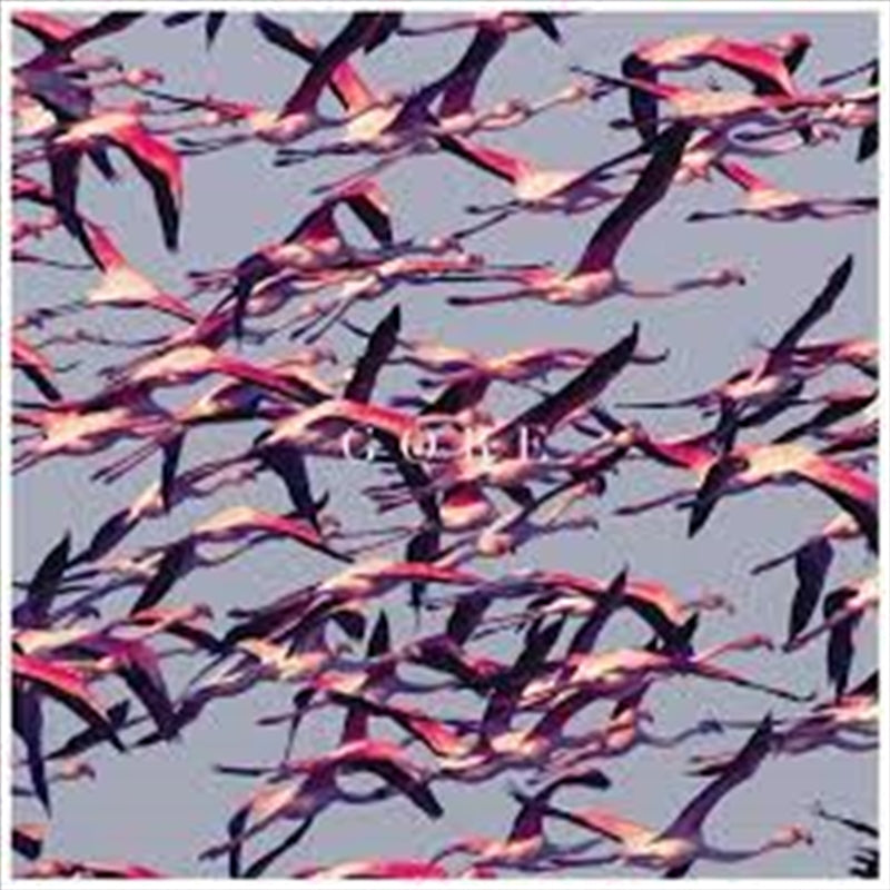 Music CDs: Gore - Deftones Cd Album