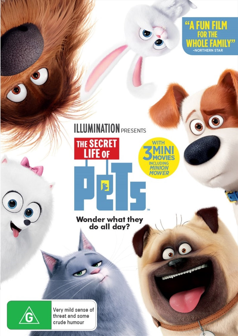 Children DVDs & Blu-rays: Secret Life Of Pets, The DVD