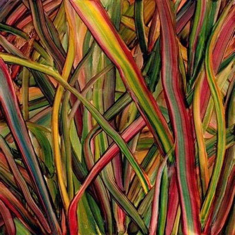 Where Wildness Grows - Gengahr Cd Album