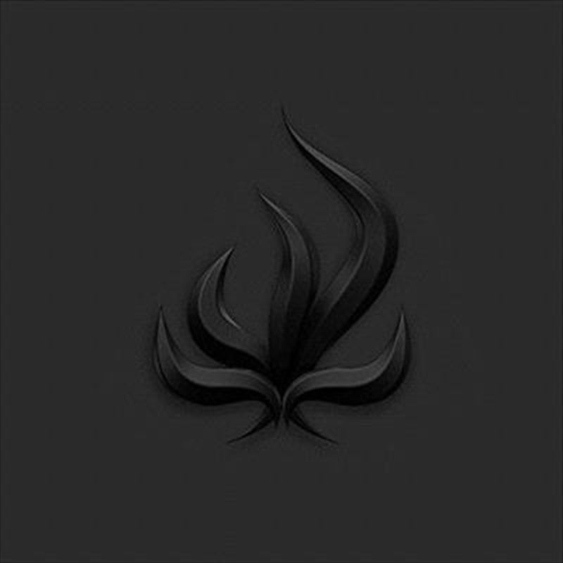 Music CDs: Black Flame - Bury Tomorrow Cd Album