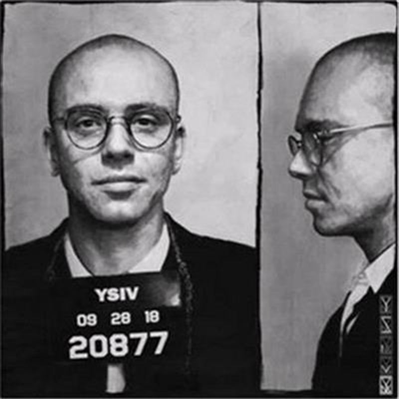 Music CDs: Ysiv - Logic Cd Album