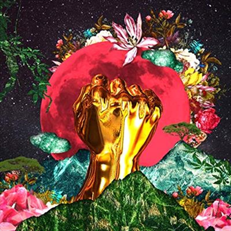 Music CDs: In A Galaxy - Mushonga, Rina Cd Album