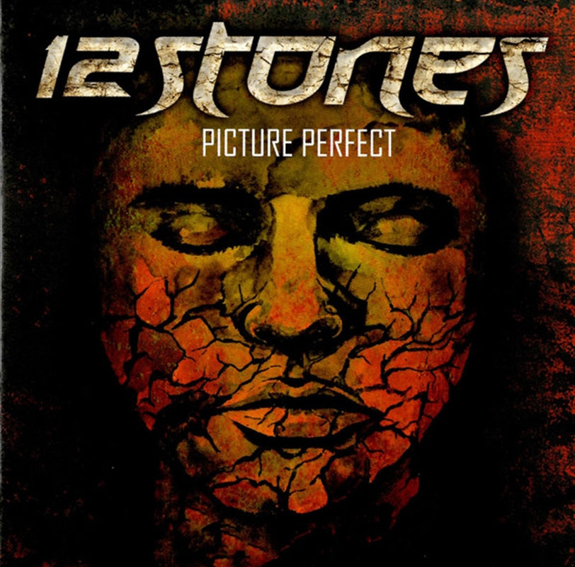 Music CDs: Picture Perfect - 12 Stones Cd Album
