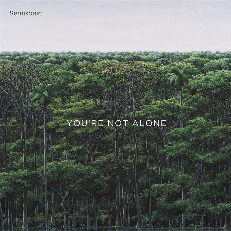 Music CDs: Youre Not Alone - Semisonic Cd Album