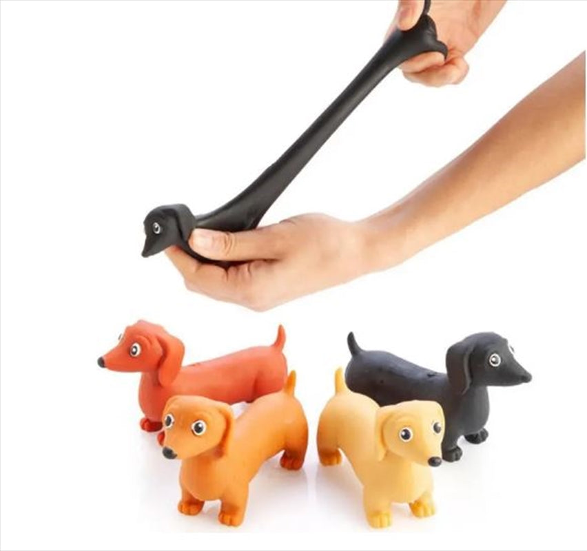 Dog Toys: Novelty Stretch Dachshund Sausage Dog Toy (SELECTED AT RANDOM)