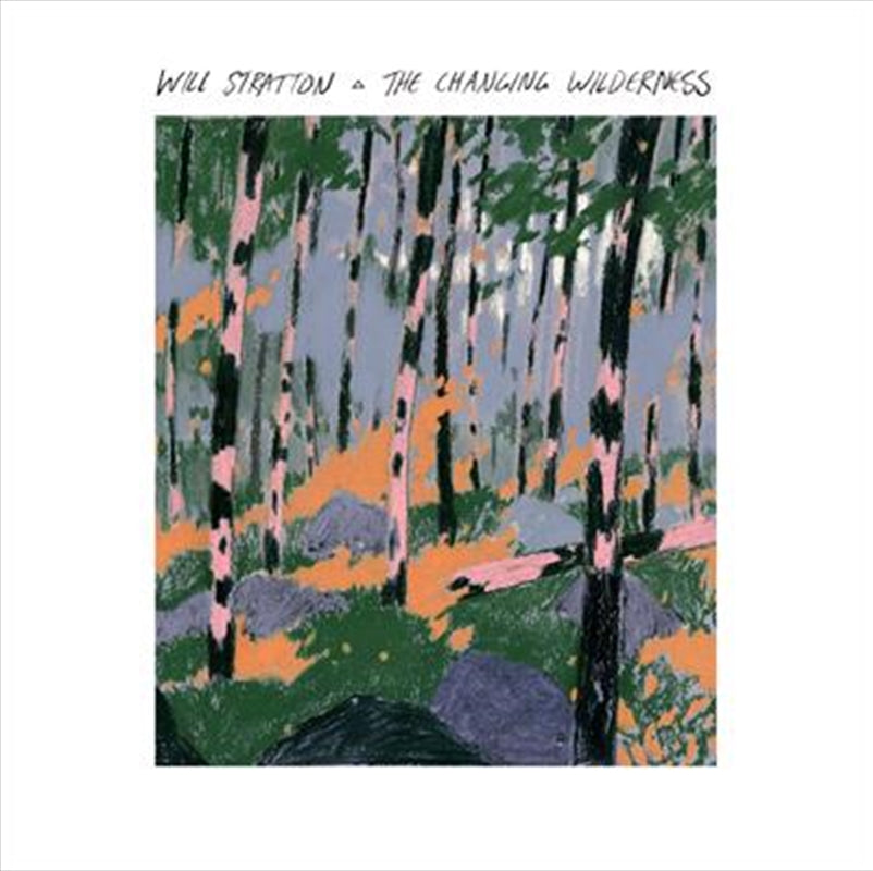 Music CDs: Changing Wilderness - Stratton, Will Cd Album