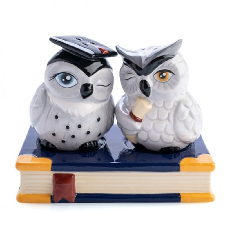 Pretend Play: Owl Salt and Pepper Set