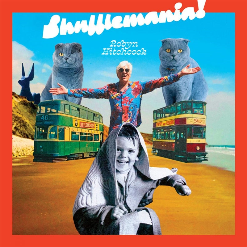 Music CDs: Shufflemania - Hitchcock, Robyn Cd Album