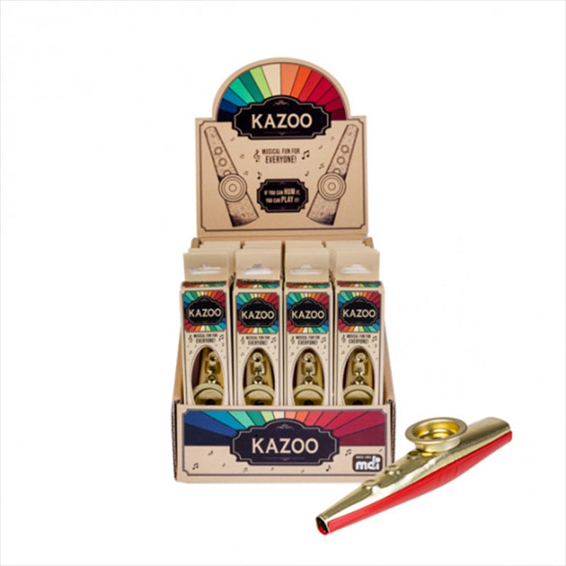 Outdoor Play Equipment: Play Kazoo