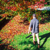 Leaf Blowers: POWERBLADE BW4 20V Cordless Electric Leaf Blower Kit, with Battery and Fast Charger