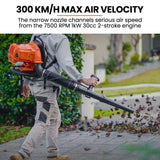 Leaf Blowers: MTM 30CC Backpack Petrol Leaf Blower Yard Garden Commercial Outdoor