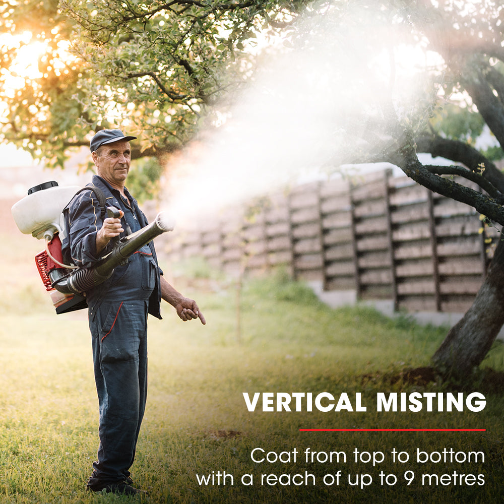 Gardening Tools: Baumr-AG Backpack 2-Stroke Petrol Powered Chemical Sprayer Fogger Mister Blower