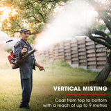 Gardening Tools: Baumr-AG Backpack 2-Stroke Petrol Powered Chemical Sprayer Fogger Mister Blower