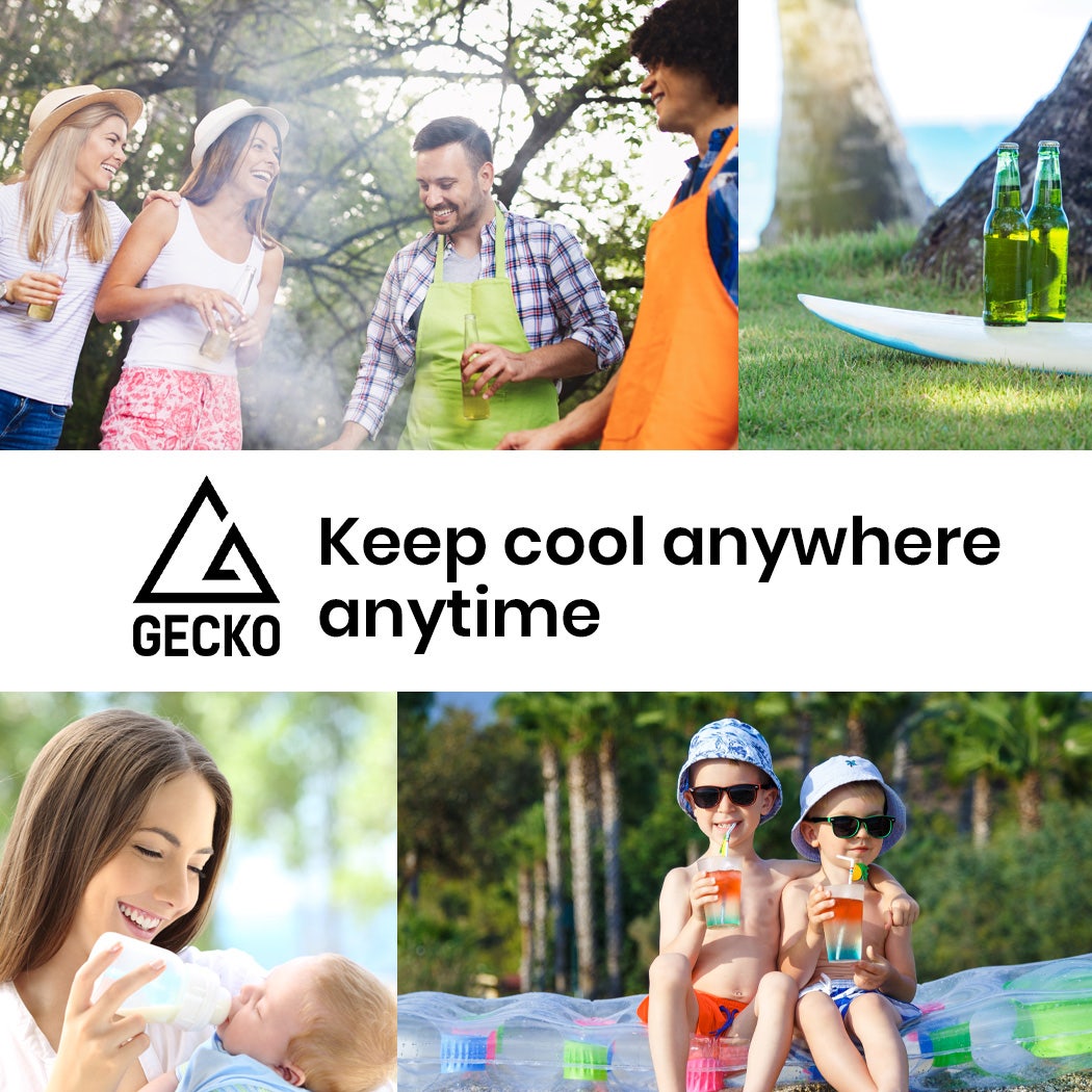 Camping Appliances: GECKO 95L Portable Upright Fridge, 12V/24V for Motorhome, Caravan, Silver