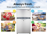 Camping Appliances: GECKO 95L Portable Upright Fridge, 12V/24V for Motorhome, Caravan, Silver