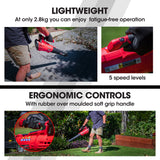 Outdoor Power Equipment: BAUMR-AG 20V Cordless Line Trimmer Electric Whipper Snipper & Leaf Blower Combo Kit Battery Charger