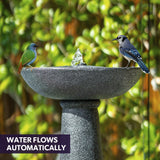 Fountains & Ponds: Protege Bird Bath Solar Water Feature Fountain, Contemporary Birdbath Design, with Panel Kit, LED Lights, Dark Grey