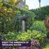 Fountains & Ponds: Protege Bird Bath Solar Water Feature Fountain, Contemporary Birdbath Design, with Panel Kit, LED Lights, Dark Grey