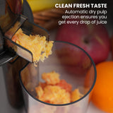 Speciality Appliances: EUROCHEF Cold Press Slow Juicer Machine, Large Chute, 200W, Charcoal Grey