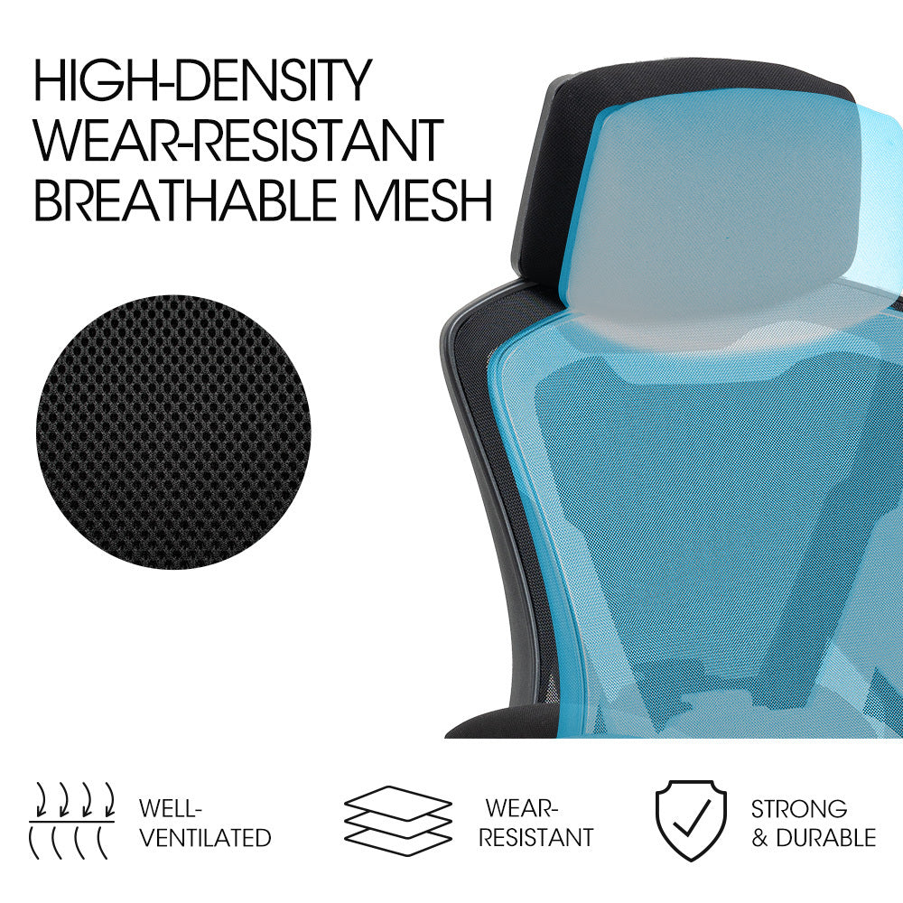 Office & Desk Chairs: FORTIA Ergonomic Office Desk Chair, Height Adjustable Lumbar Support, Mesh Fabric, Headrest, Black