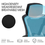 Office & Desk Chairs: FORTIA Ergonomic Office Desk Chair, Height Adjustable Lumbar Support, Mesh Fabric, Headrest, Black